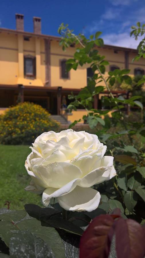 Boma Countryhouse Casale Bufalotta Kültér fotó